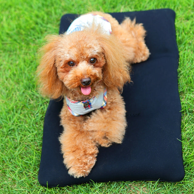 クロッツ わんちゃんパワークール