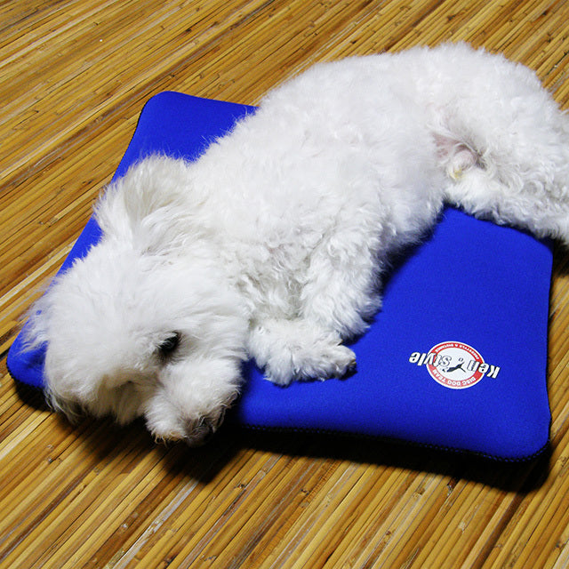 クロッツ わんちゃんパワークール