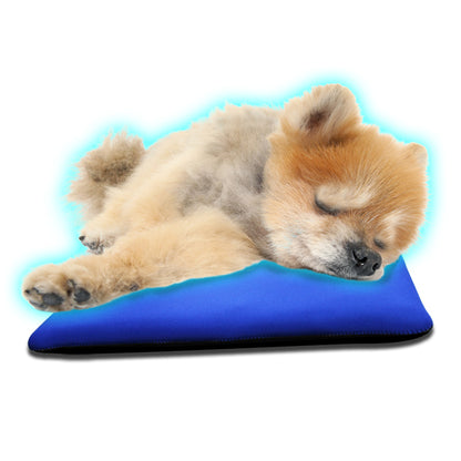 クロッツ わんちゃんパワークール